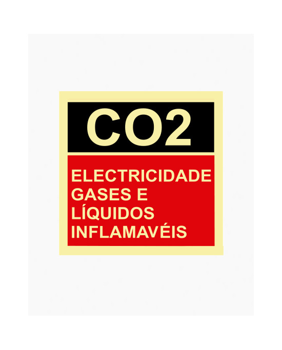 Sinal PVC/fotoluminescente - CO2 - Eletricidade, Gases e Líquidos Inflamáveis (15x15cm)